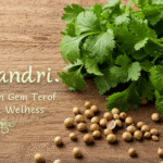 Koriandri: The Hidden Gem of Natural Flavor and Wellness