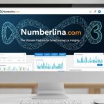 Numberlina.com: The Ultimate Platform for Smart Numerical Insights
