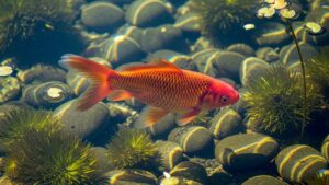 Gldyql: The Evolution of Past, Present, and Future Trends